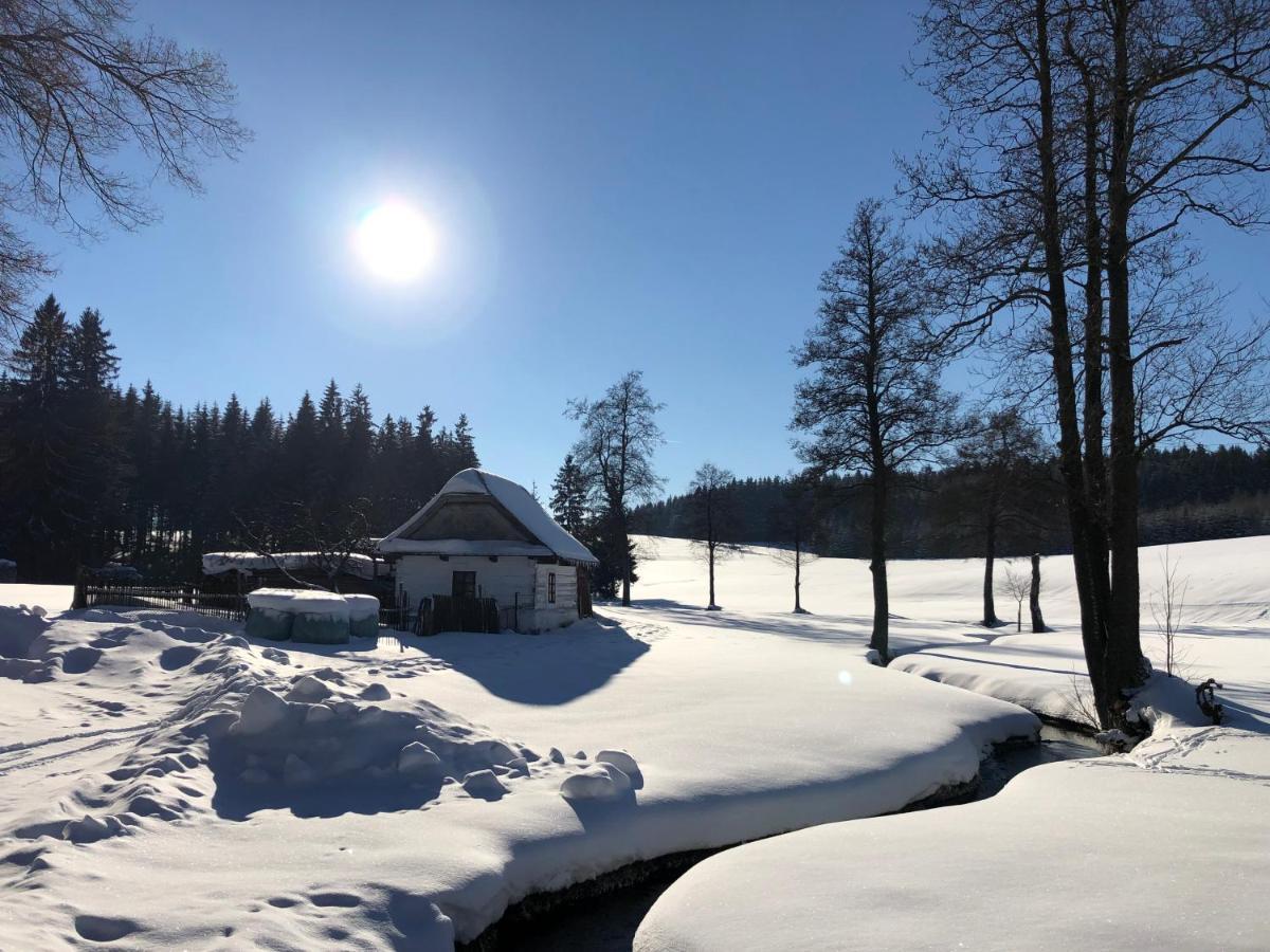 Hotel A Penzion Pegas Vlachovice ภายนอก รูปภาพ
