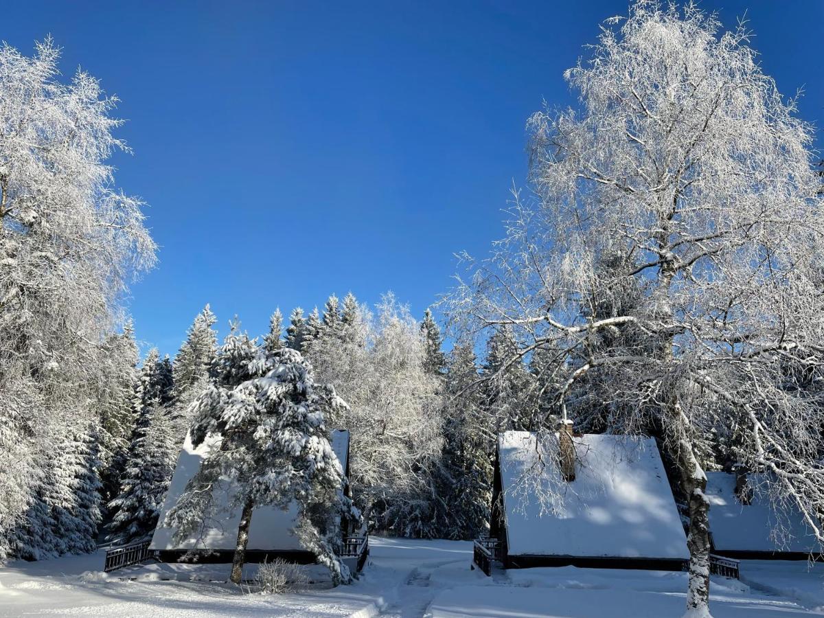 Hotel A Penzion Pegas Vlachovice ภายนอก รูปภาพ