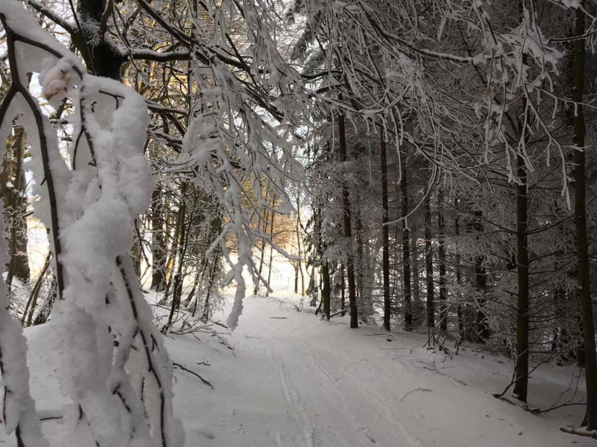 Hotel A Penzion Pegas Vlachovice ภายนอก รูปภาพ