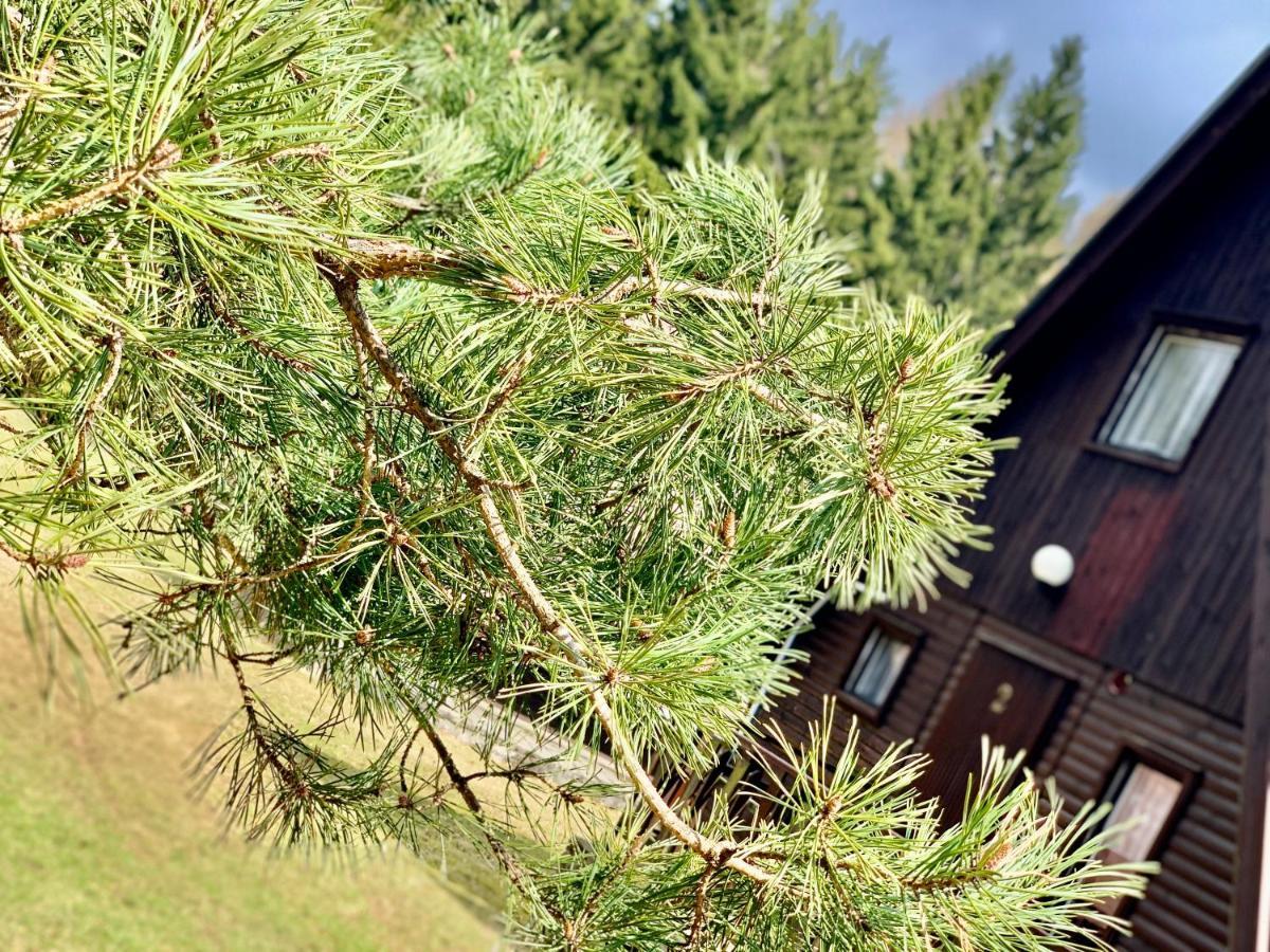 Hotel A Penzion Pegas Vlachovice ภายนอก รูปภาพ